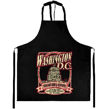 Discover Washington D.C. Souvenir Satire Aprons
