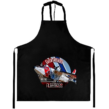 Discover Grumman HU-16 Albatross Coast Guard Aircraft Aprons