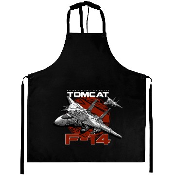 Discover F-14 Tomcat Fighterjet Aprons