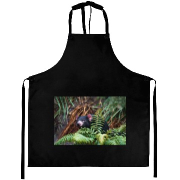 Discover Tasmanian Devil Encounter Aprons
