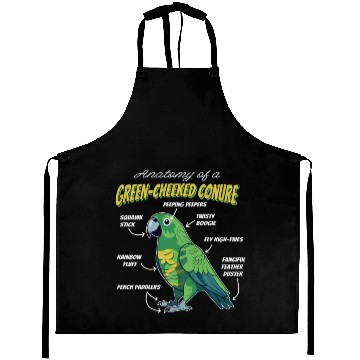 Discover Green Cheeked Conure Anatomy Aprons