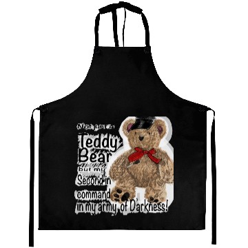 Discover Teddy Bear Aprons