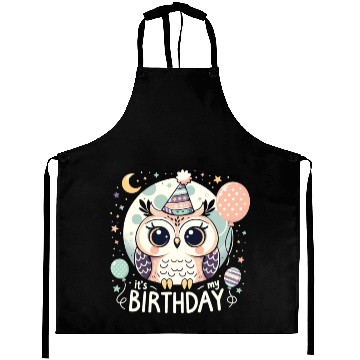 Discover Its My Birthday Sweet Birthday Owl Aprons