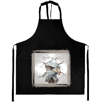 Discover Eagle. Aprons