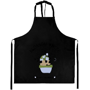 Discover Blossom Where You're Planted Aprons