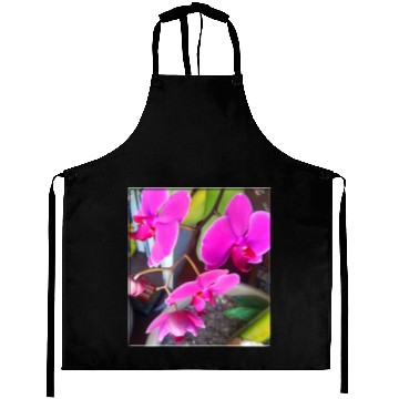 Discover Orchid 1 Aprons