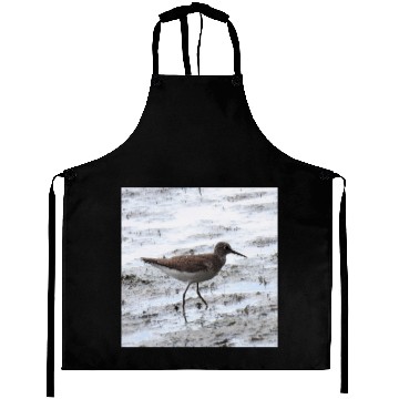 Discover Sandpiper walking along the shore Aprons
