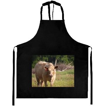 Discover Cow Aprons