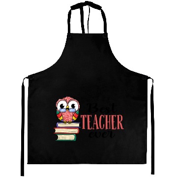 Discover Best Teacher Ever Owl Books Teaching Aprons