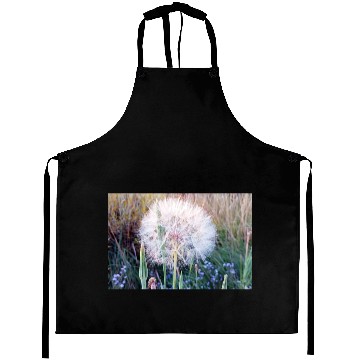 Discover Beautiful Look at a Western Salsify #101 Aprons