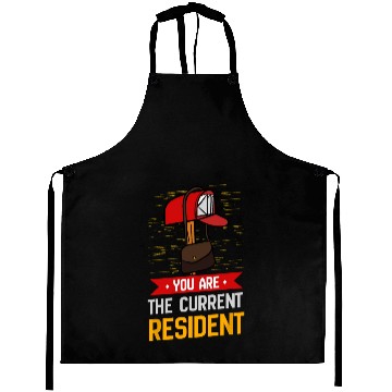 Discover You Are The Current Resident Postal Worker Aprons