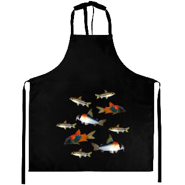 Discover Pygmy Corydoras Adolfoi Corydoras Catfish Aquarium Aprons