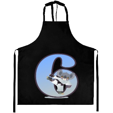 Discover 6th birthday Karate Judo Aprons