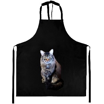 Discover Indie the Cute Cat Aprons