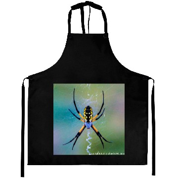 Discover Garden Spider Aprons