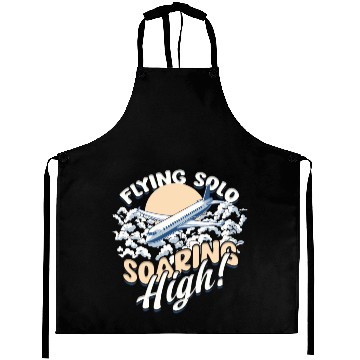 Discover First Solo Flight Pilot Flying Solo Soaring High Aprons