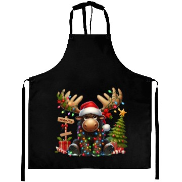 Discover North Pole Readers Aprons
