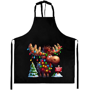 Discover North Pole Readers 2 ALPA STORE Aprons