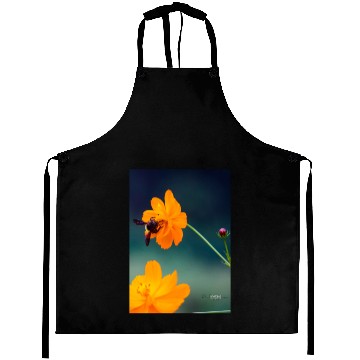 Discover Nature bee Aprons