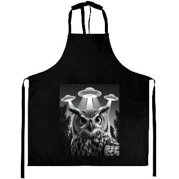 Discover UFO Funny Owl Aprons