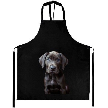 Discover Great Dane Aprons