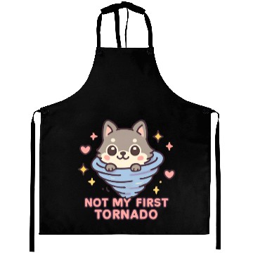 Discover Not My First Tornado Storm Weather Meteorologist Aprons
