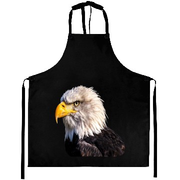 Discover 1 Eagle Aprons