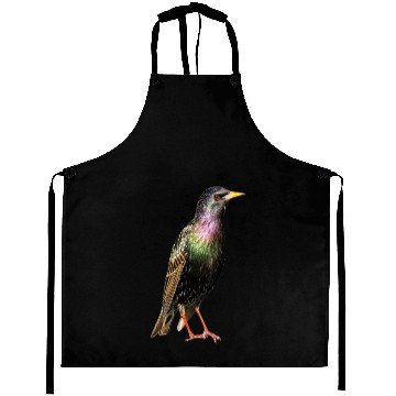 Discover 3 Bird Aprons