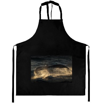 Discover Humpback Whale Tail Aprons