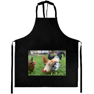Discover Farmyard Rooster and Chickens Illustration Aprons