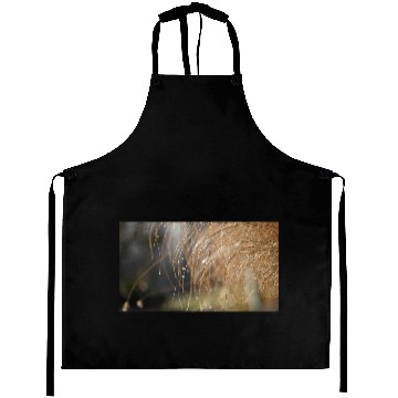 Discover Tiny Dew Drops on Delicate Golden Grass Aprons