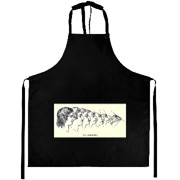 Discover Vintage Evolution Man Into Frog - Werefrog! Aprons