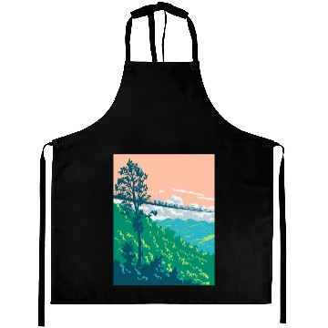 Discover Great Smoky Mountains National Park in Gatlinburg  Aprons