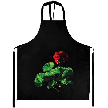 Discover Backlit Red Geranium Aprons
