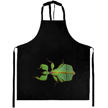 Discover Real Leaf Insect Aprons