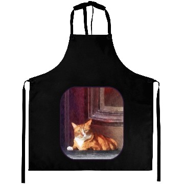 Discover Orange Tabby in Doorway Aprons