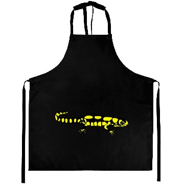 Discover Salamander Aprons