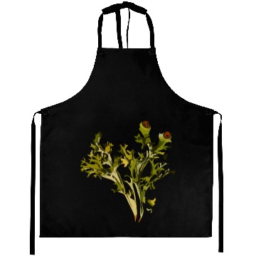 Discover Iceland moss (smaller file) Aprons