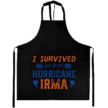 Discover I Survived Hurricane Irma Aprons