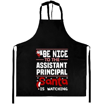 Discover Assistant Principal Aprons