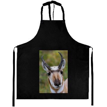 Discover Confidence Aprons