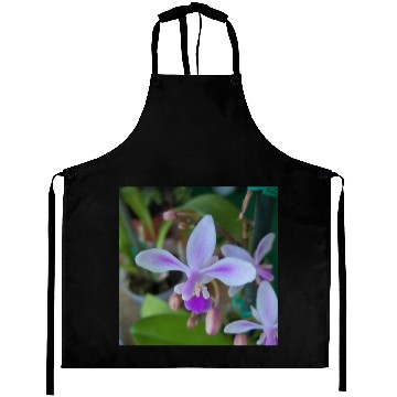 Discover Mini orchid up close Aprons