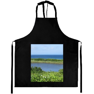 Discover Block Island Pond 1 Aprons