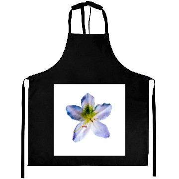 Discover Azalea Aprons