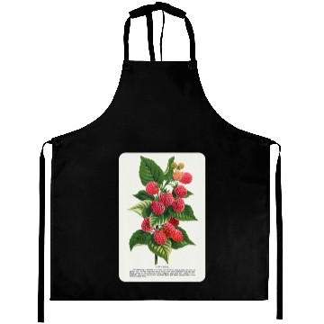 Discover Vintage Cuthbert Raspberry Botanical Speci Aprons