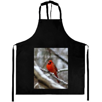 Discover Male Cardinal Aprons