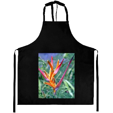 Discover Enhanced Heliconia Flower Aprons