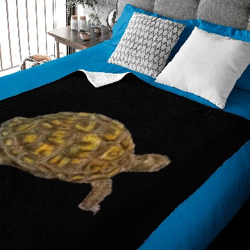 Discover Box Turtle Baby Blankets