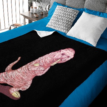 Discover Rufus - Kim Possible - Baby Blankets