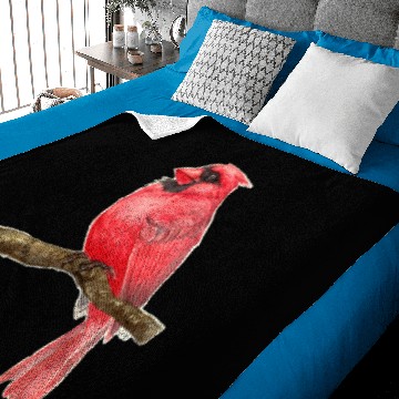 Discover Cardinal bird watercolor - Cardinal Bird - Baby Blankets